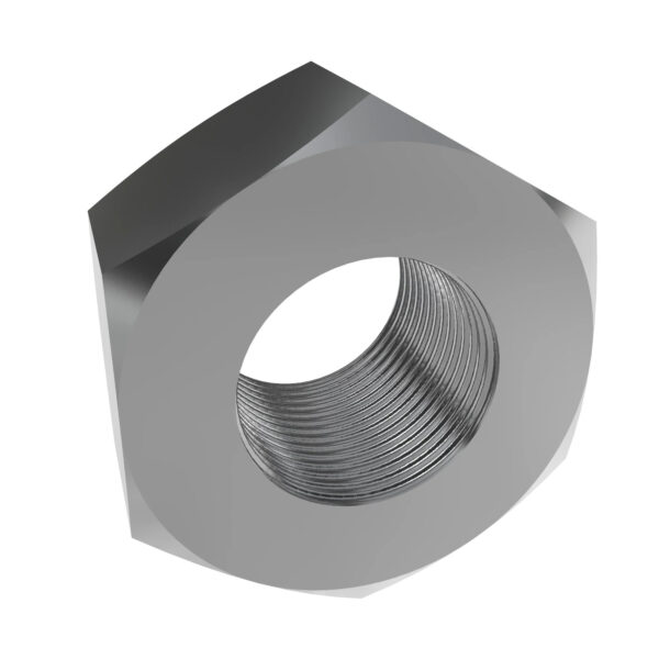 Hexagonal Lock Nut, M10