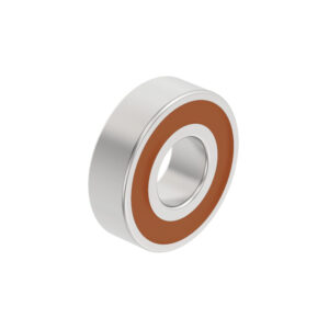 Disk Spring