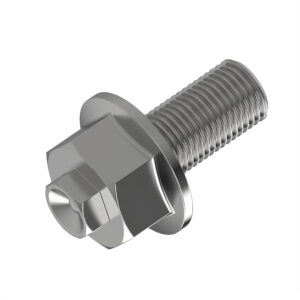 Screw