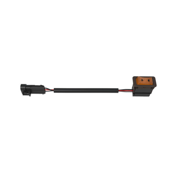 Toggle/Rocker Switch