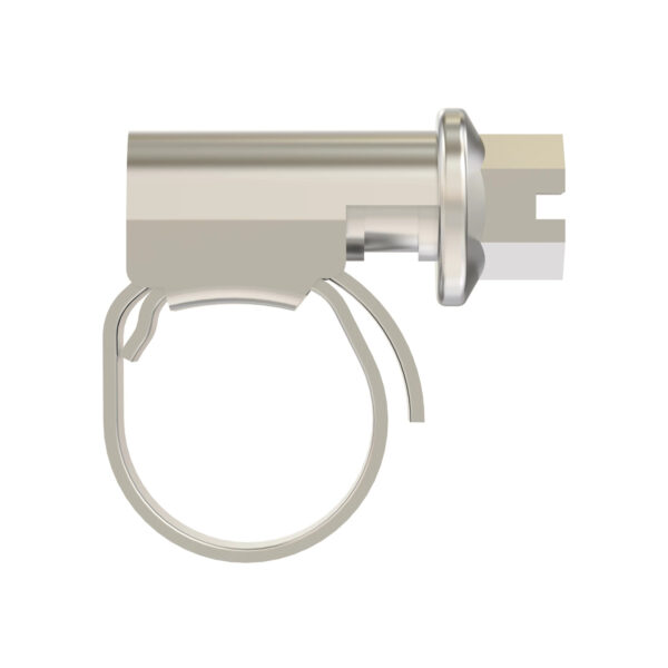 Worm Gear Hose Clamp