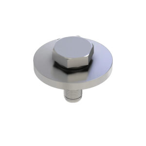 Screw with Washer, M10 X 29