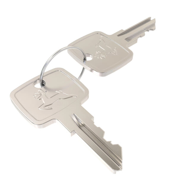 Ignition Key (Set of 2)
