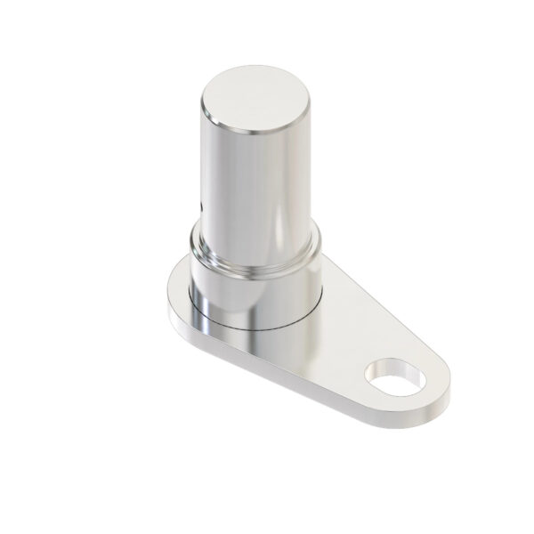 Re-Lubrication and Bolt-On Flag or Pivot Pin