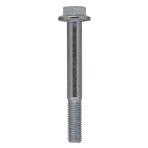 Hexagonal Head Flanged Screw, M20 X 180