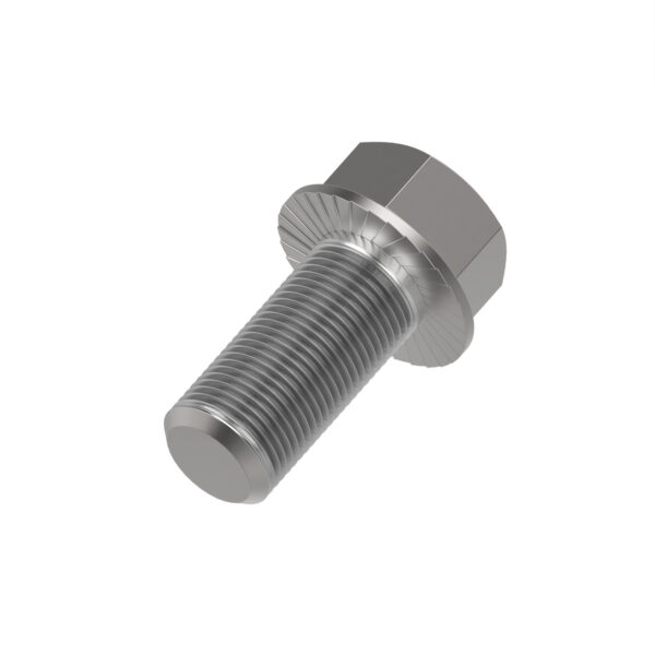 Hexagonal Head Flanged Screw, M10 X 25