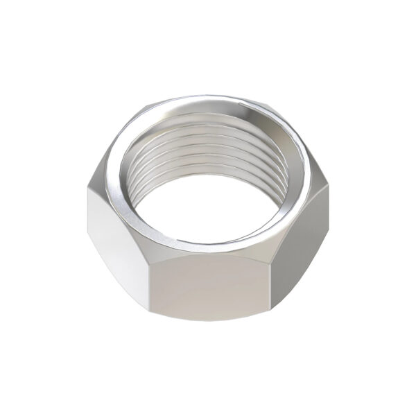 Hexagonal Nut, M24