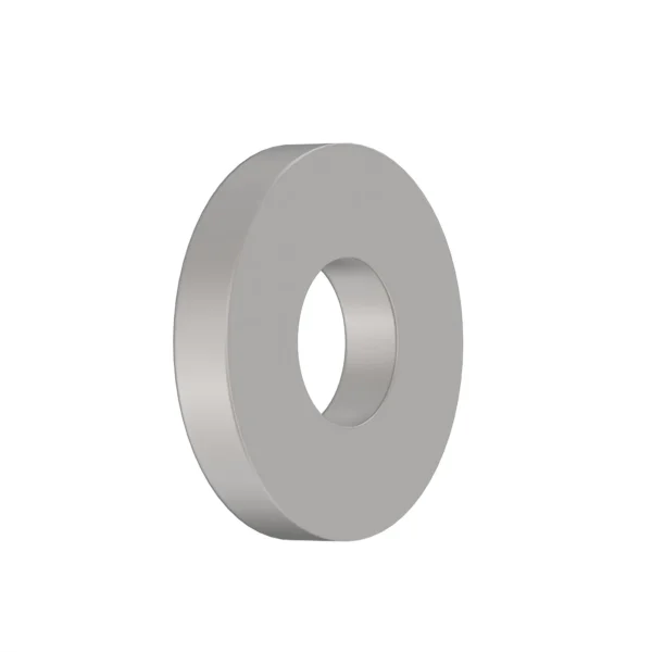 Metallic, Round Hole Washer