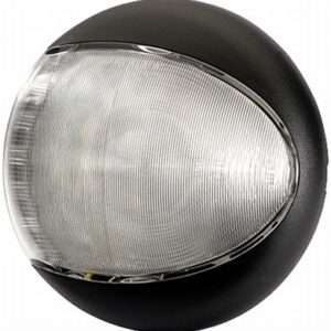 LED-Reverse Light - EuroLED - 24/12V