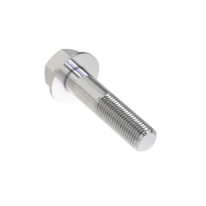 Hexagonal Head Flanged Screw, M16 X 70