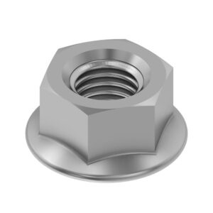 Hexagonal Lock Nut, M10