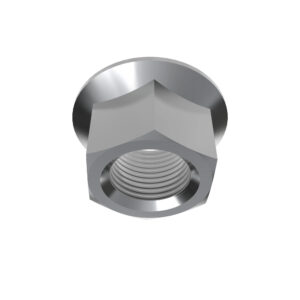Hexagonal Lock Nut, M20