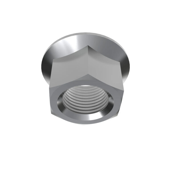 Hexagonal Lock Nut, M20