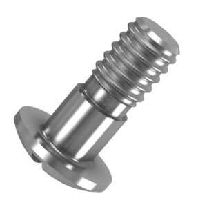 Round Head Square Neck Screw, M6 X 16