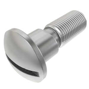 Round Head Square Neck Screw, M6 X 20