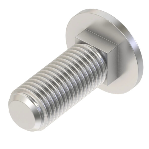Round Head Square Neck Bolt, M10 X 30