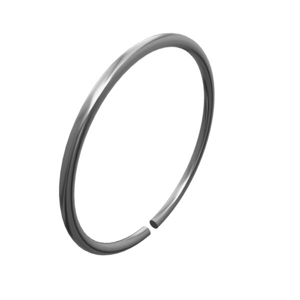 Snap Ring