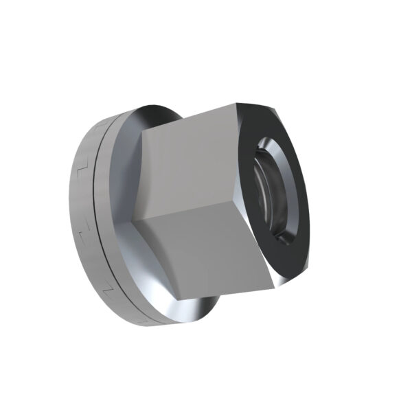 Hexagonal Lock Nut, M10