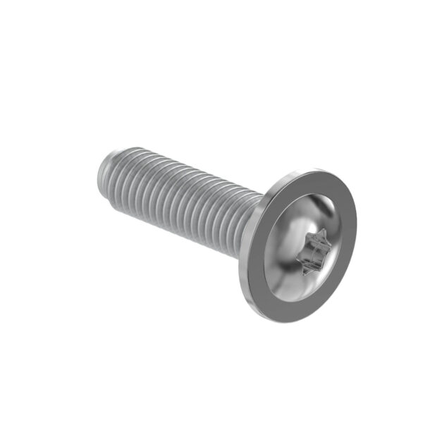 Hexagonal Socket Head Flange Screw, M6 X 28