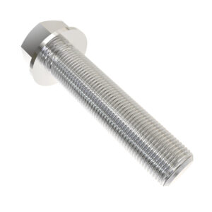 Hexagonal Head Flanged Screw, M22 X 100