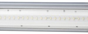 Interior Light - LED - 12V