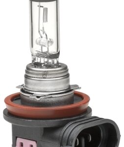 Halogen-Bulb - H11 - Heavy Duty Expert - 24V - 70W