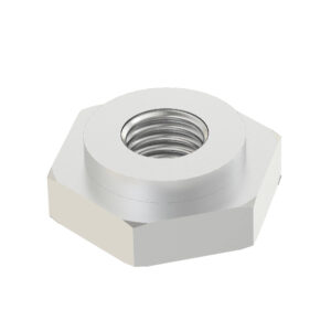 Hexagonal Nut, M10
