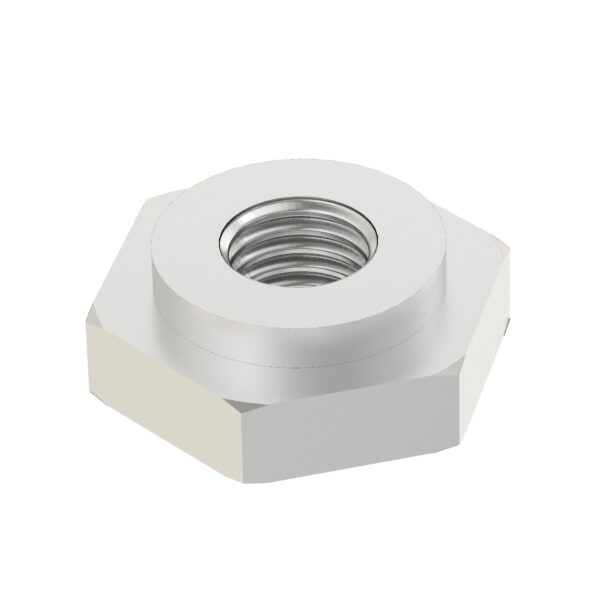 Hexagonal Nut, M10