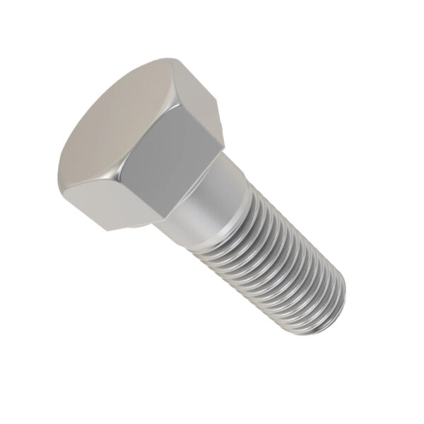 Hexagonal Head Bolt, M20 X 80