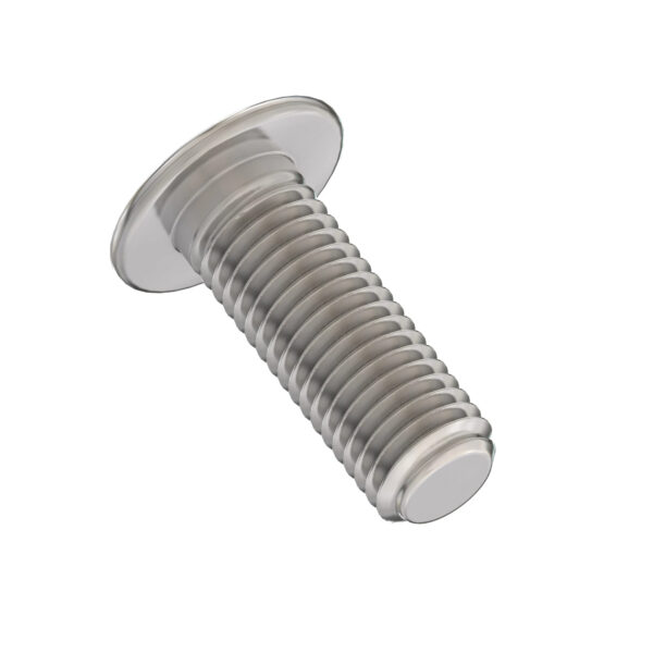 Hexagonal Socket Head Flange Screw, M6 X 16