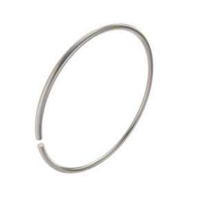 Brake Disks Snap Ring