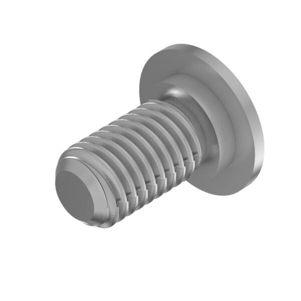 Torx Screw