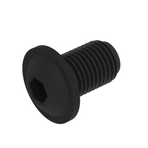 Hexagonal Socket Head Flange Screw, M6 X 12
