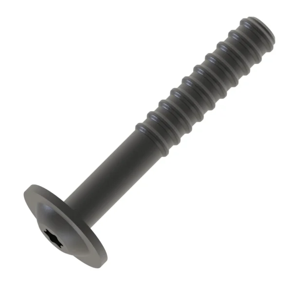 Hexagonal Socket Head Flange Screw, M6 X 45