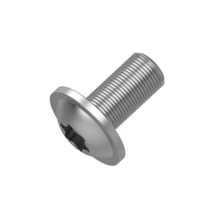 Hexagonal Socket Head Flange Screw, M6 X 12
