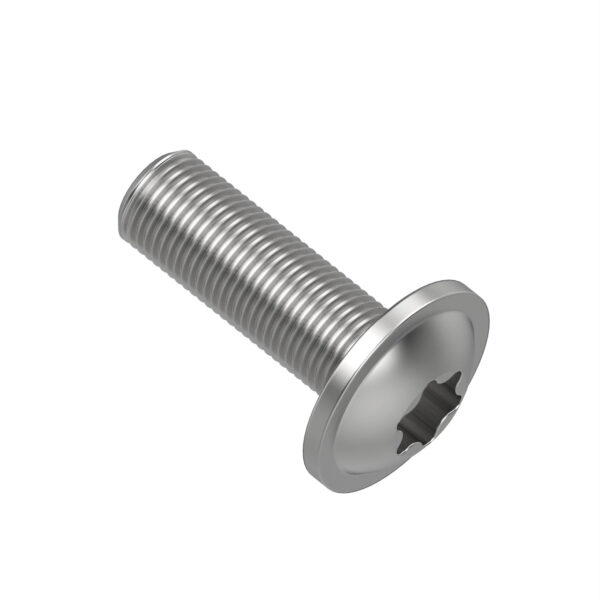 Hexagonal Socket Head Flange Screw, M6 X 18