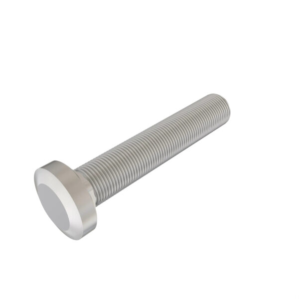 Round Head Square Neck Bolt, M16 X 95