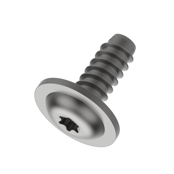 Self-Tapping Screw