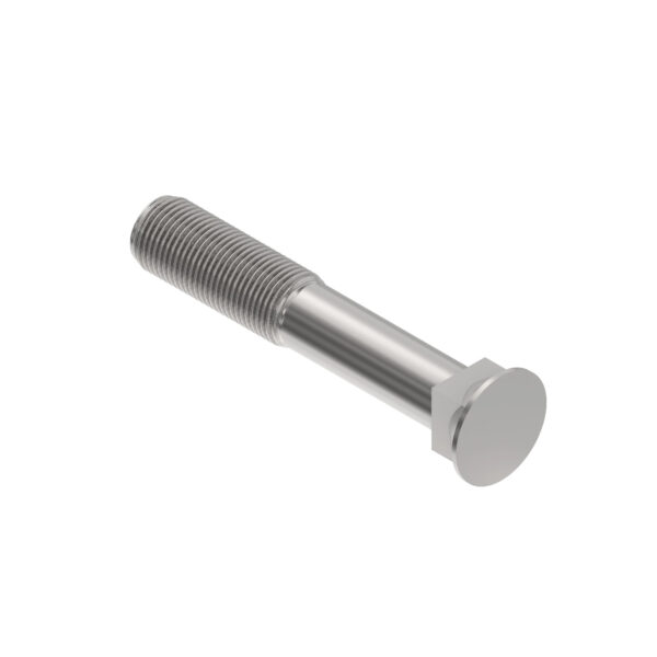 Screw, M16 X 102