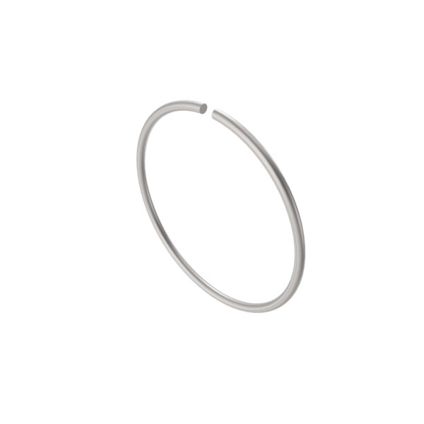 Snap Ring