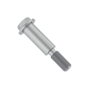 Hexagonal Head Flanged Screw, M8 X 55