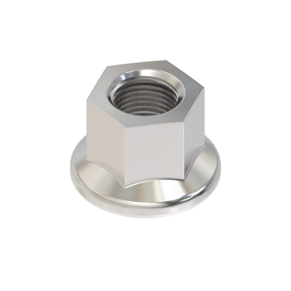 Hexagonal Flange Nut, M10