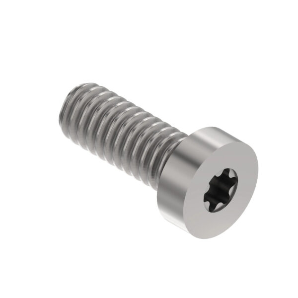 Self-Tapping Bolt