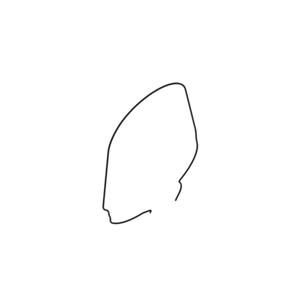Isolator