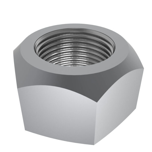 Hexagonal Lock Nut, M10