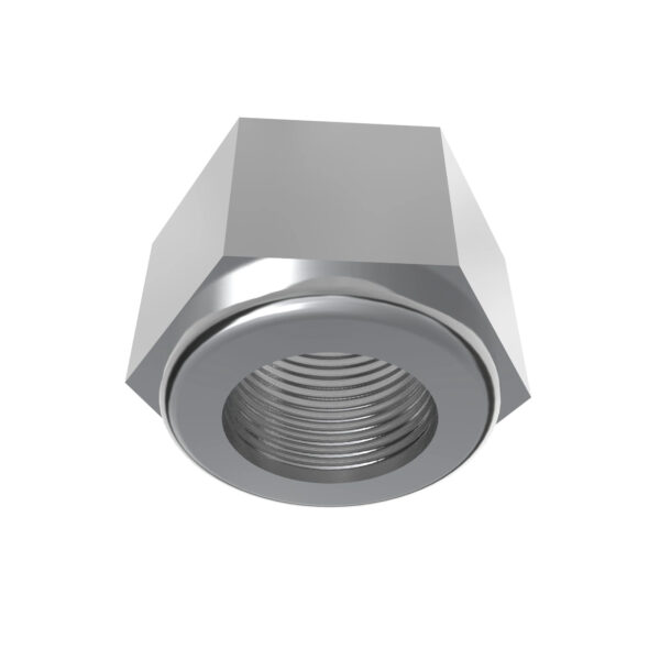 Hexagonal Lock Nut, M10