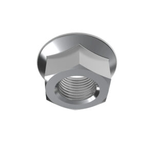 Hexagonal Lock Nut, 5/16"