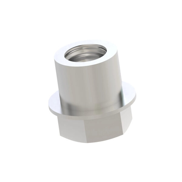 Hexagonal Shoulder Nut