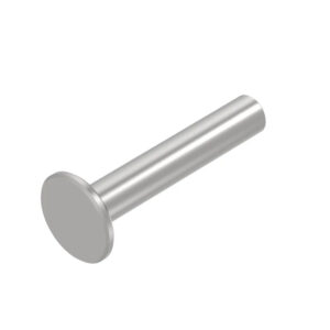 Pin