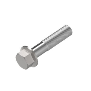 Cap Screw